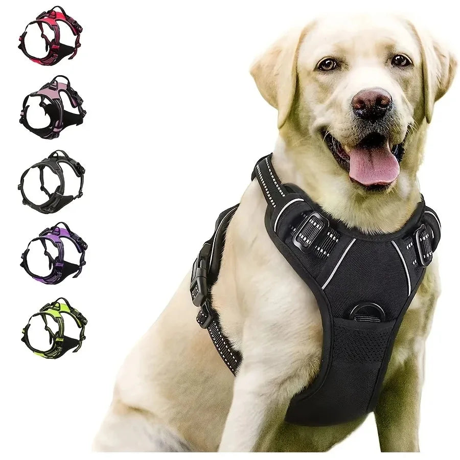 Premium Dog Accessories