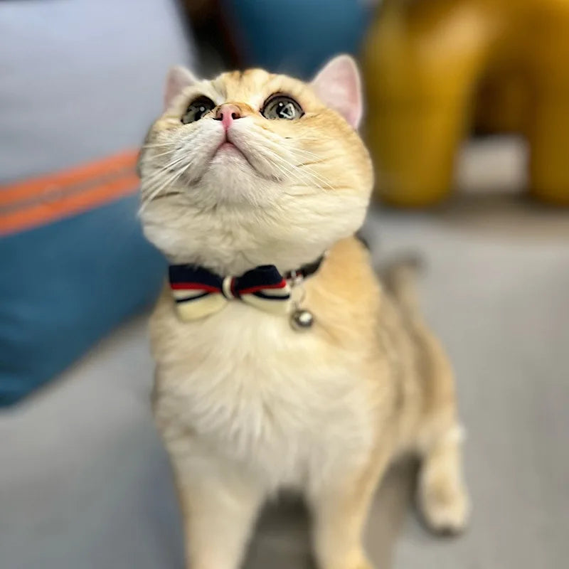 Cat Bow Tie Collar