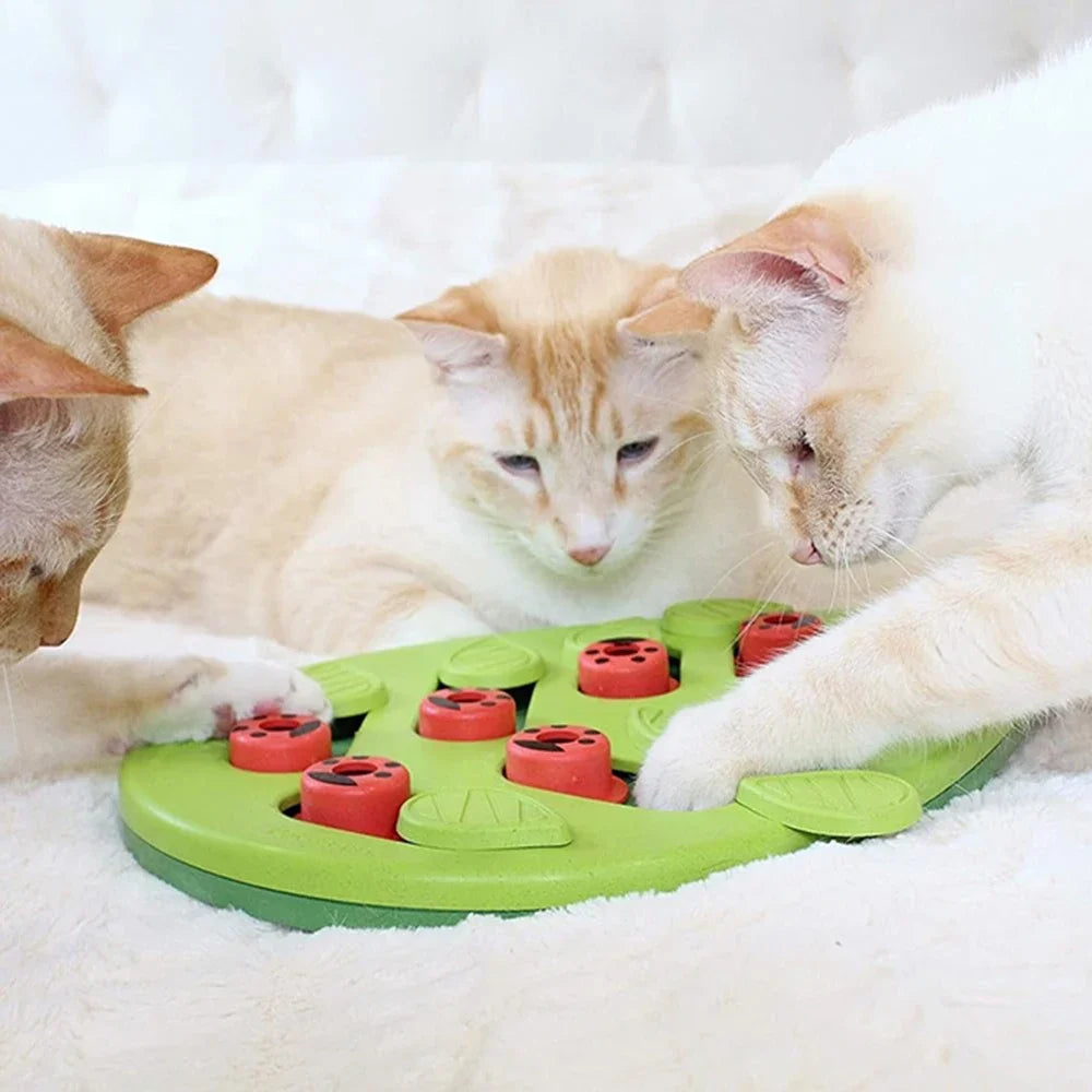 Interactive Cat Treat Puzzle Toy