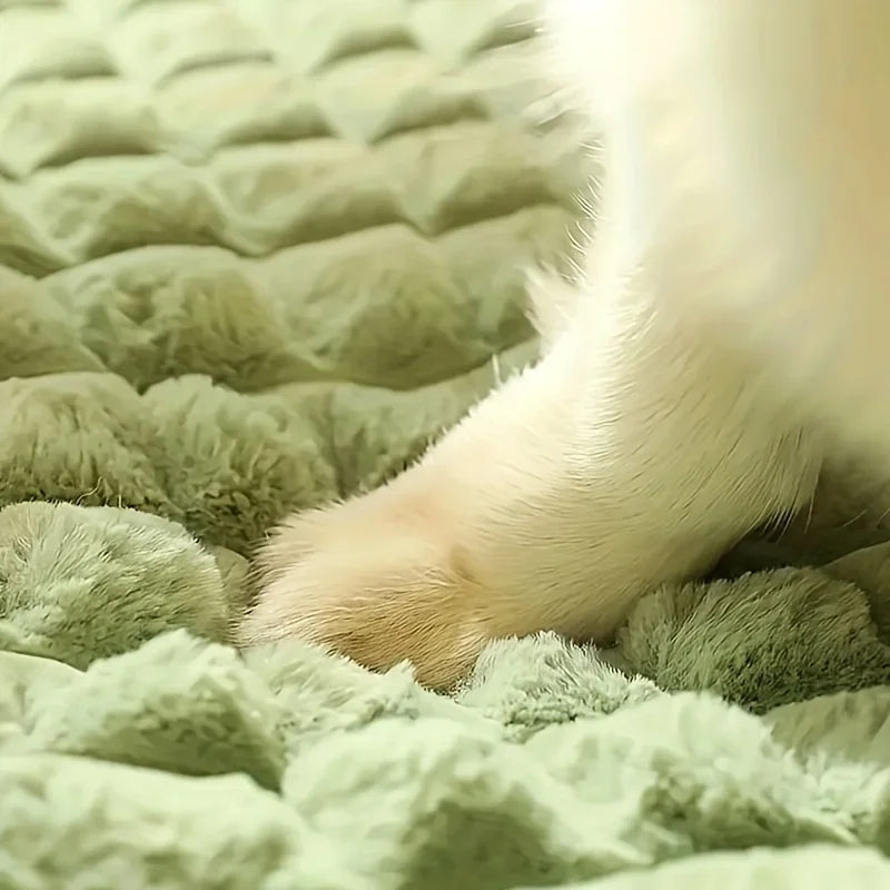 Four Seasons Dog Mat