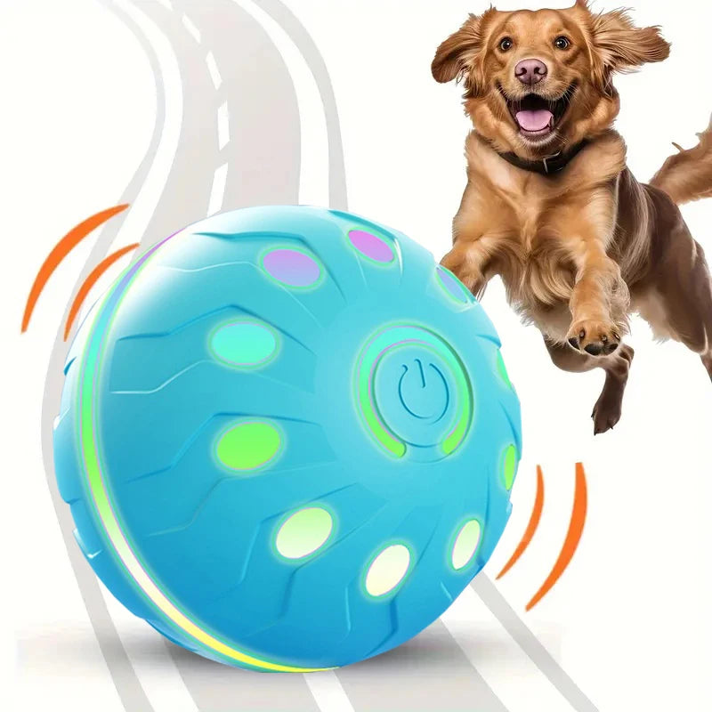 Electric Dog Ball