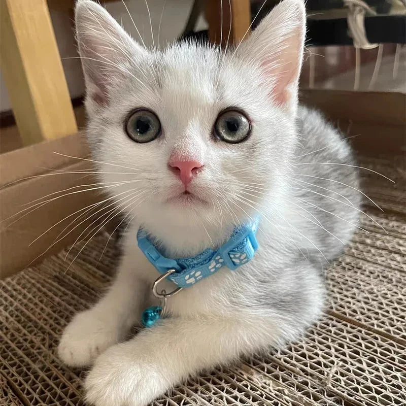 Cute Bell Cat Collar