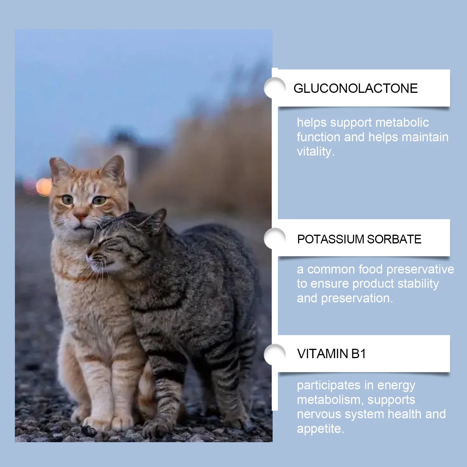 Cat Vitamin Drops