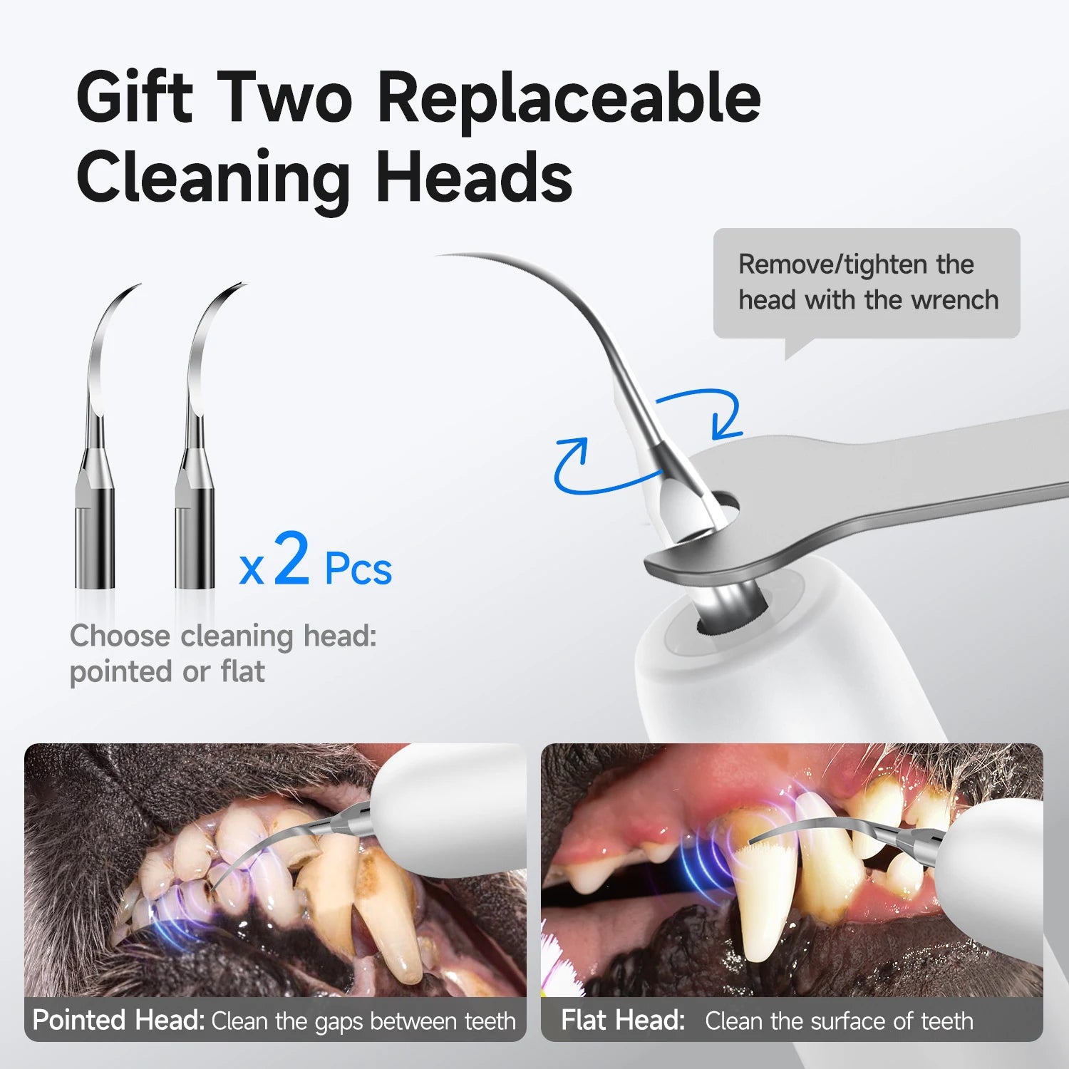 Ultrasonic Dog Teeth Cleaner