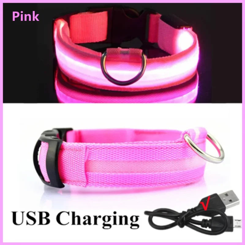 PetSafe Glow LED Dog Collar