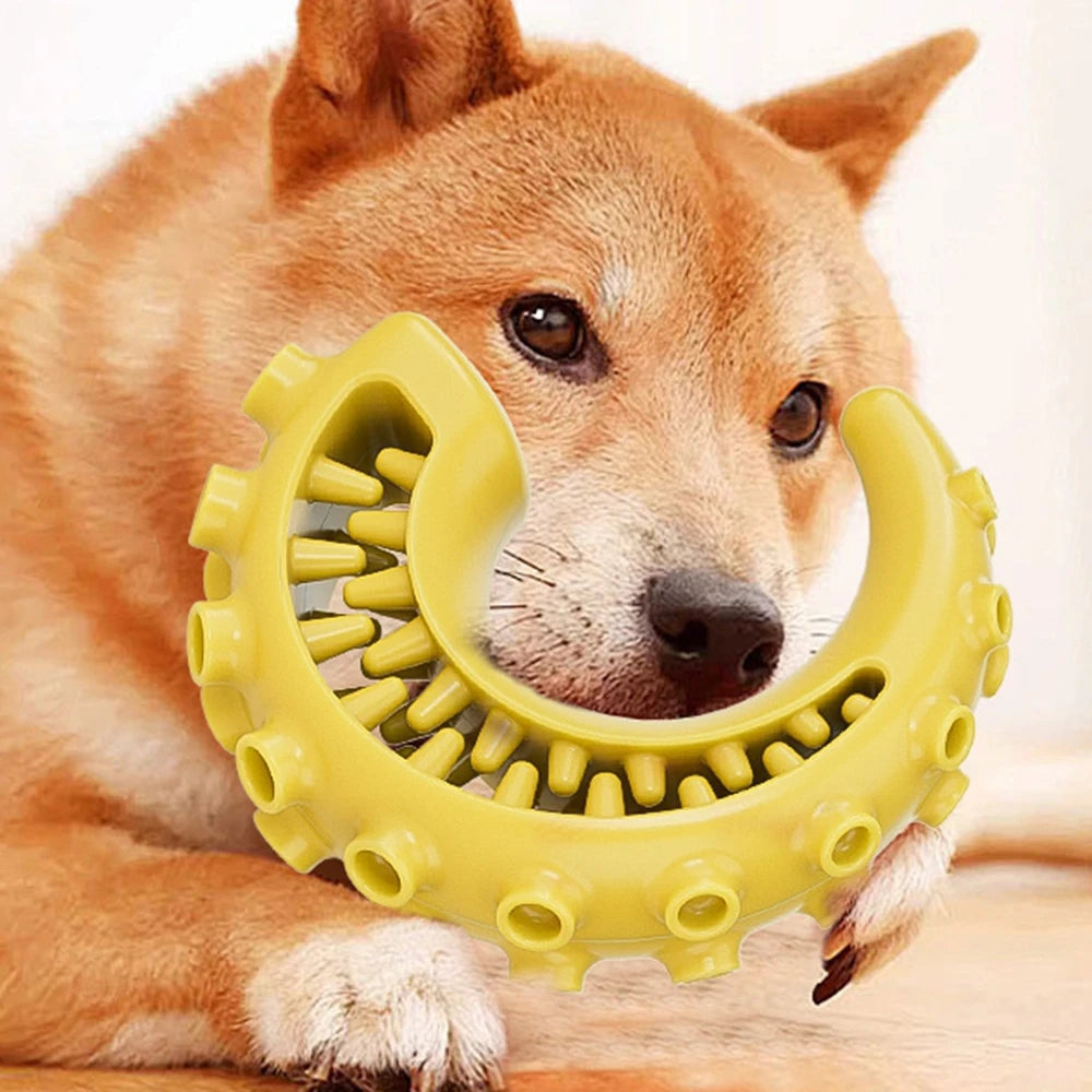 TPR Dog Chew Toy
