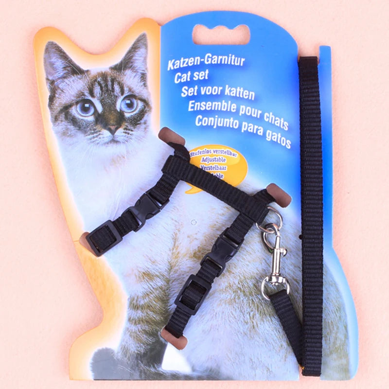 Cat Chest Strap
