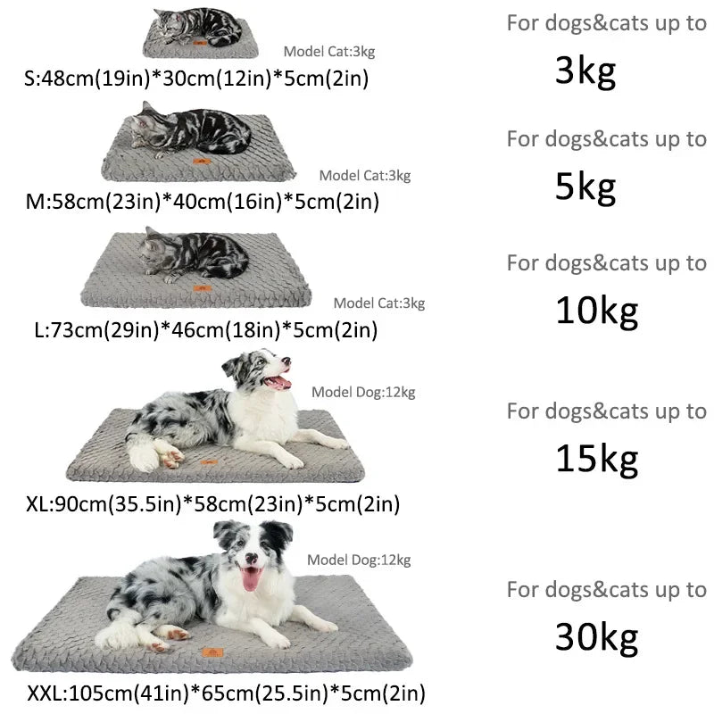 Orthopedic Memory Foam Dog Bed