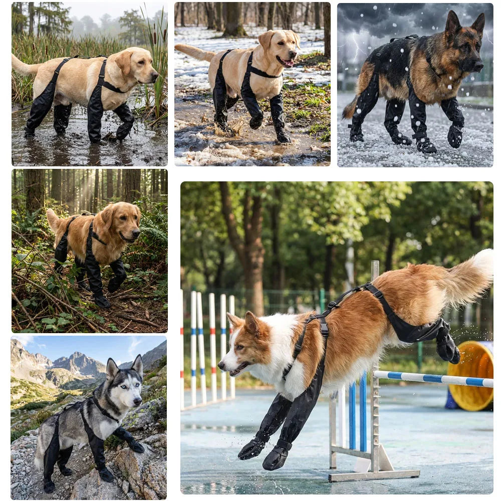 Dog Rain Boots