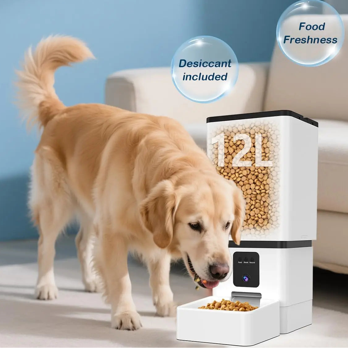 Smart Dog Feeder