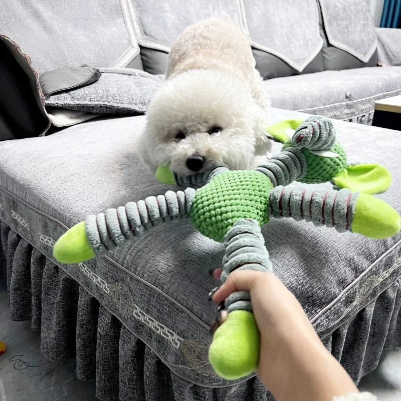 Dog Squeaky Toy