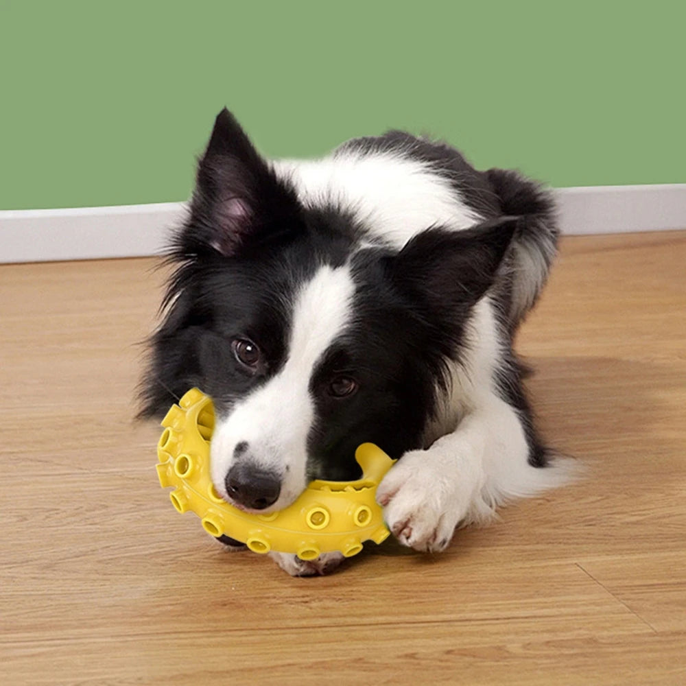 TPR Dog Chew Toy
