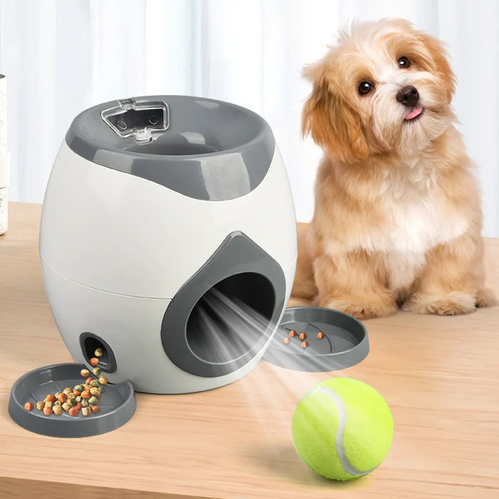 Automatic Dog Ball Launcher