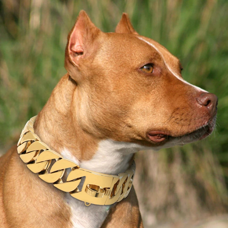 Solid Cuban Dog Collar