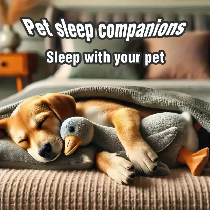 50cm Duck Plush Dog Toy