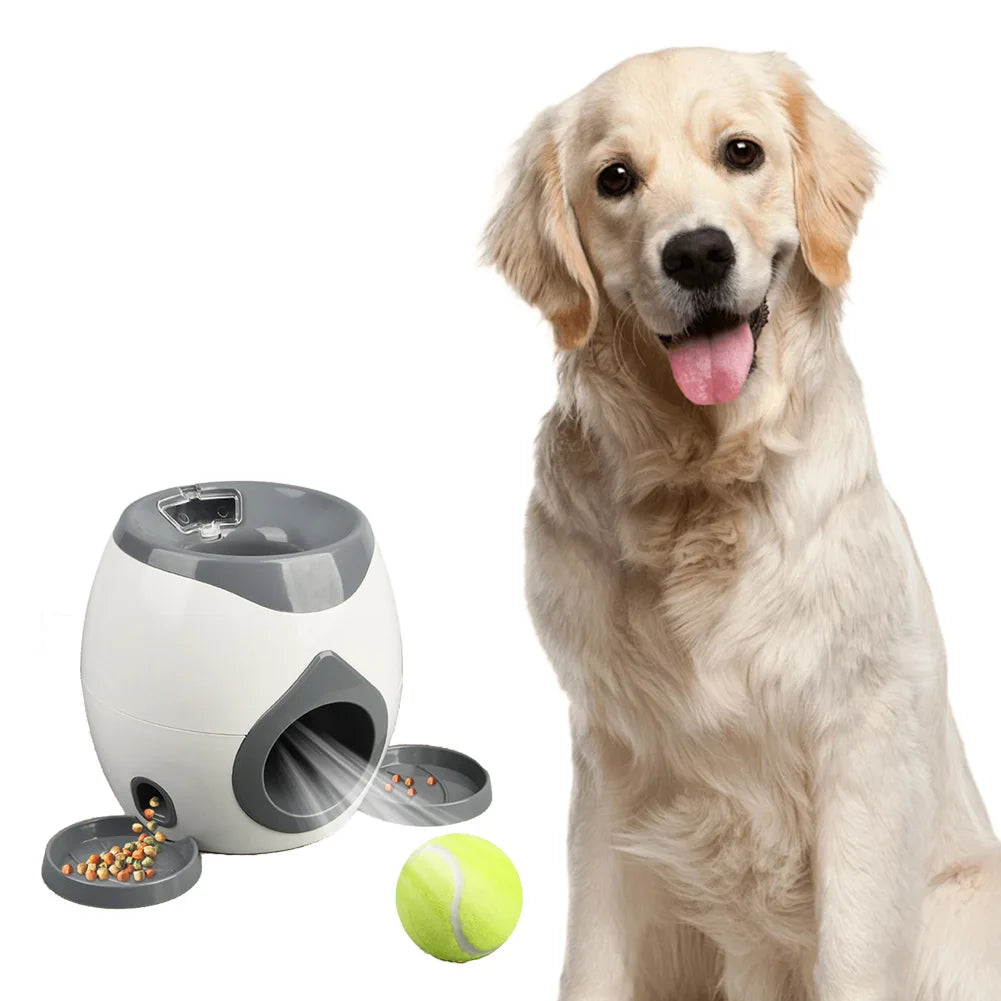 Automatic Dog Ball Launcher