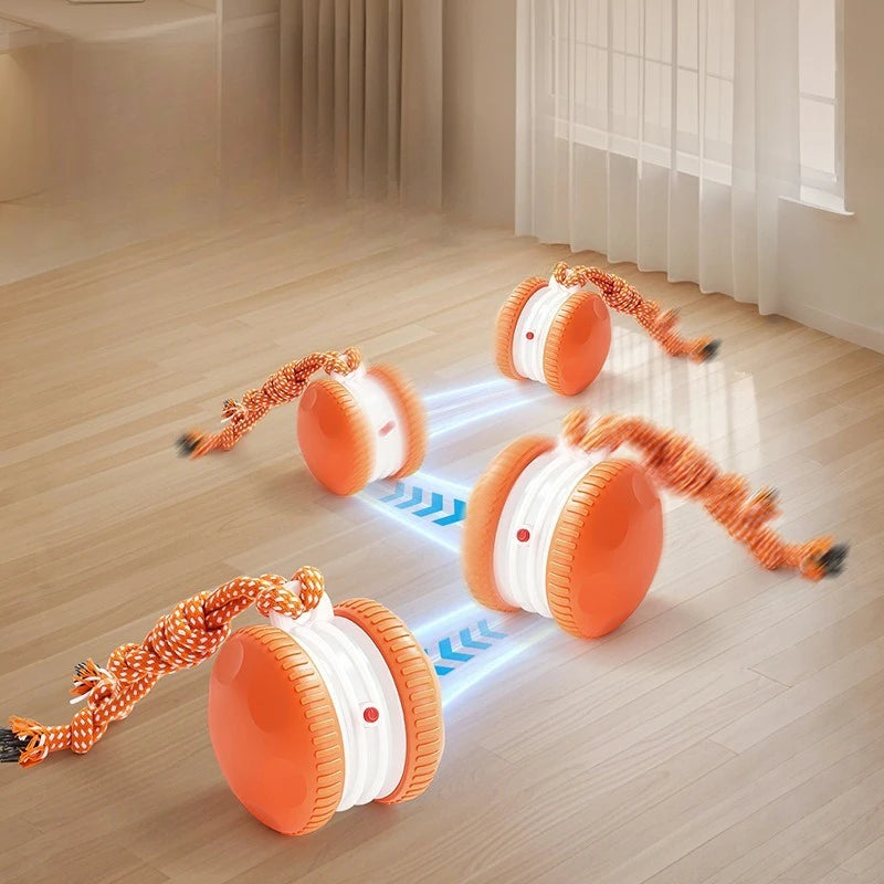 SmartRoll Auto Dog Ball