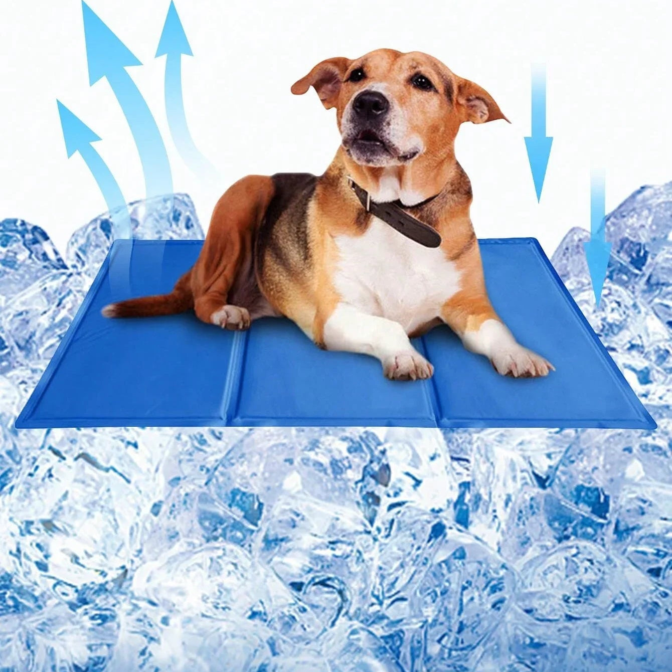 Dog Cooling Pad