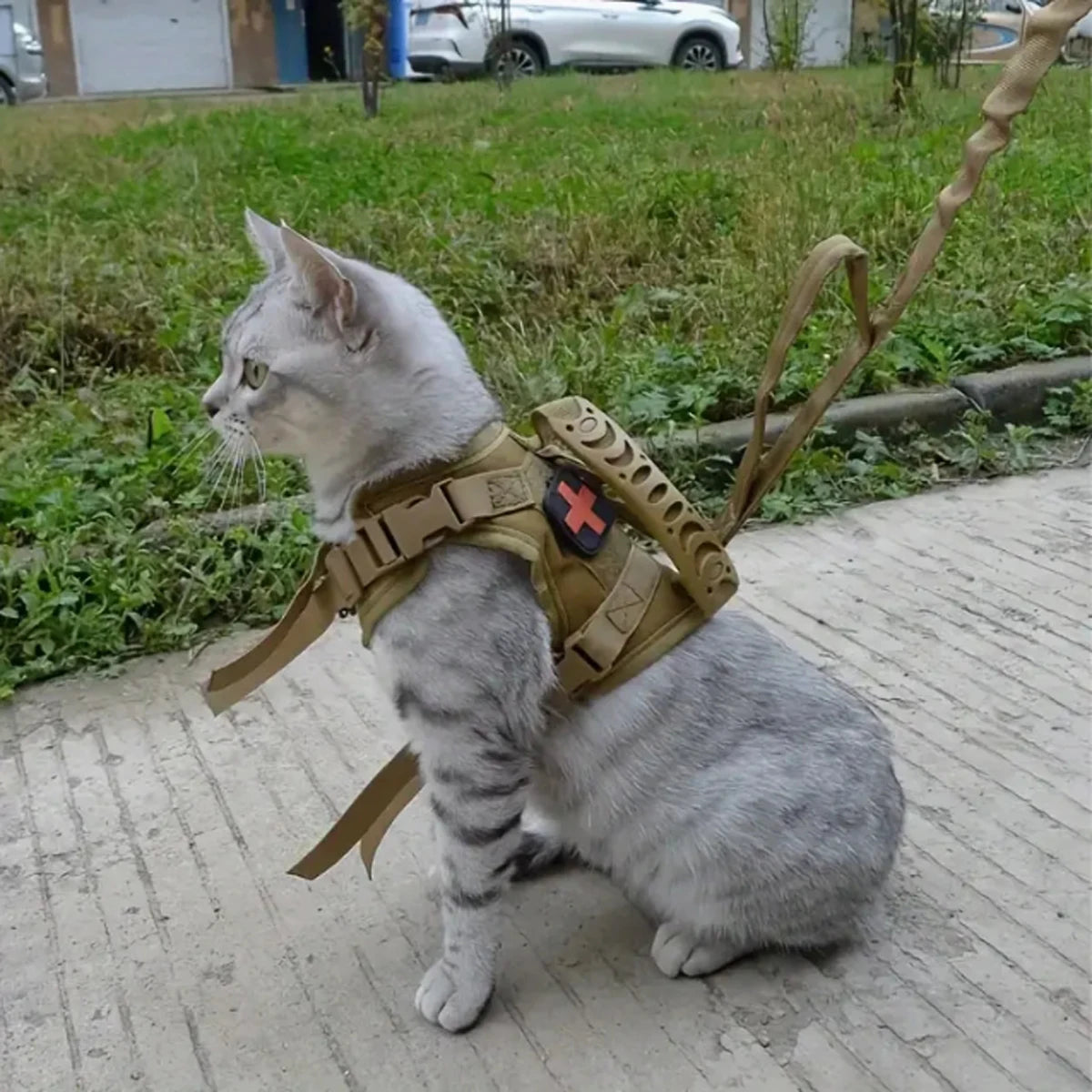Tactical Cat Harness & Leash