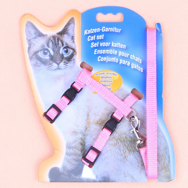 Cat Chest Strap