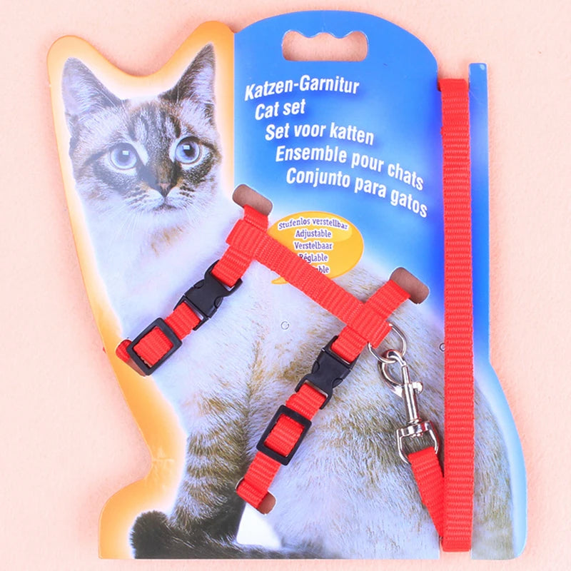 Cat Chest Strap