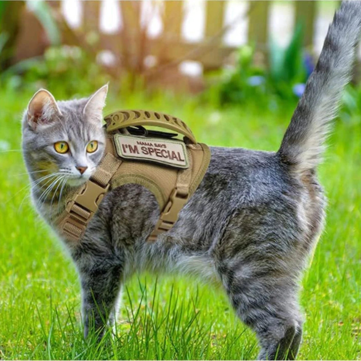 Tactical Cat Harness & Leash