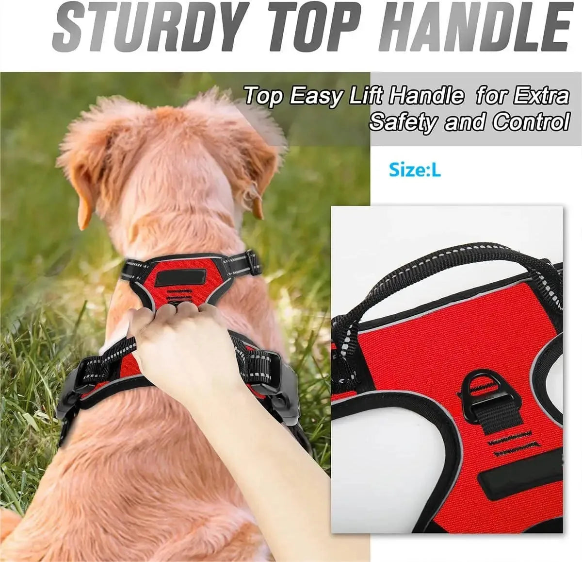 Premium Dog Accessories