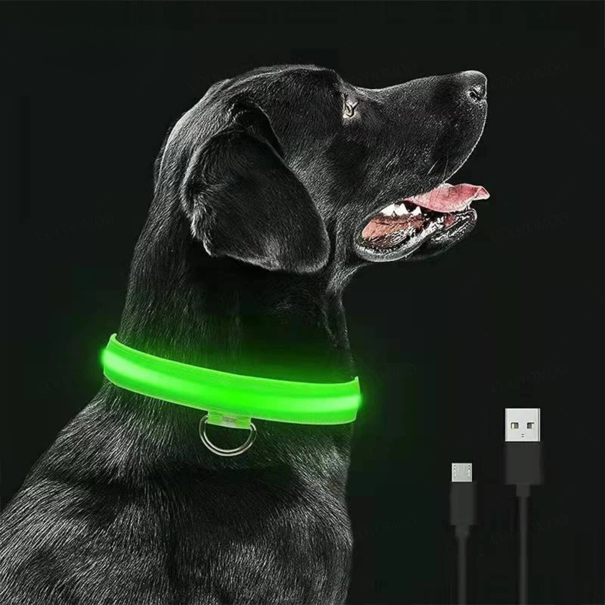 PetSafe Glow LED Dog Collar