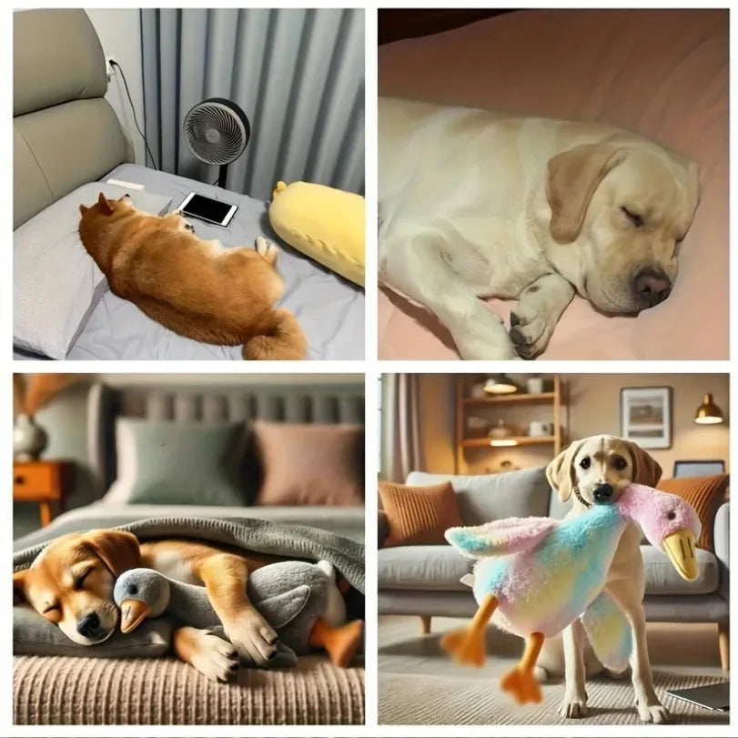 50cm Duck Plush Dog Toy