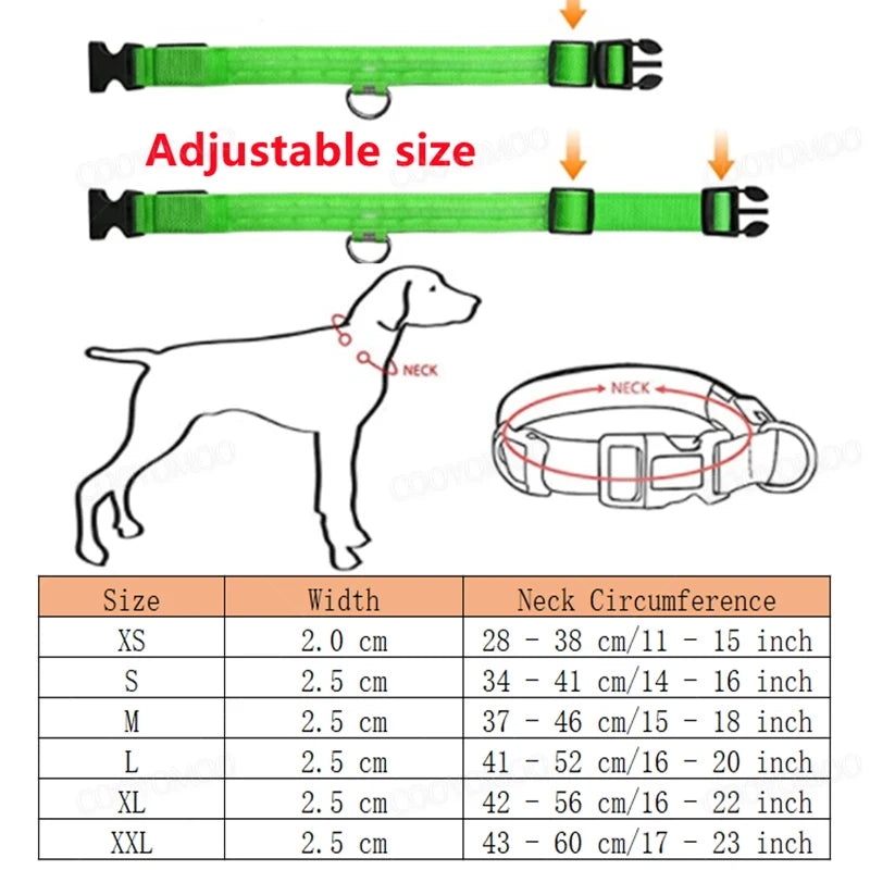 PetSafe Glow LED Dog Collar