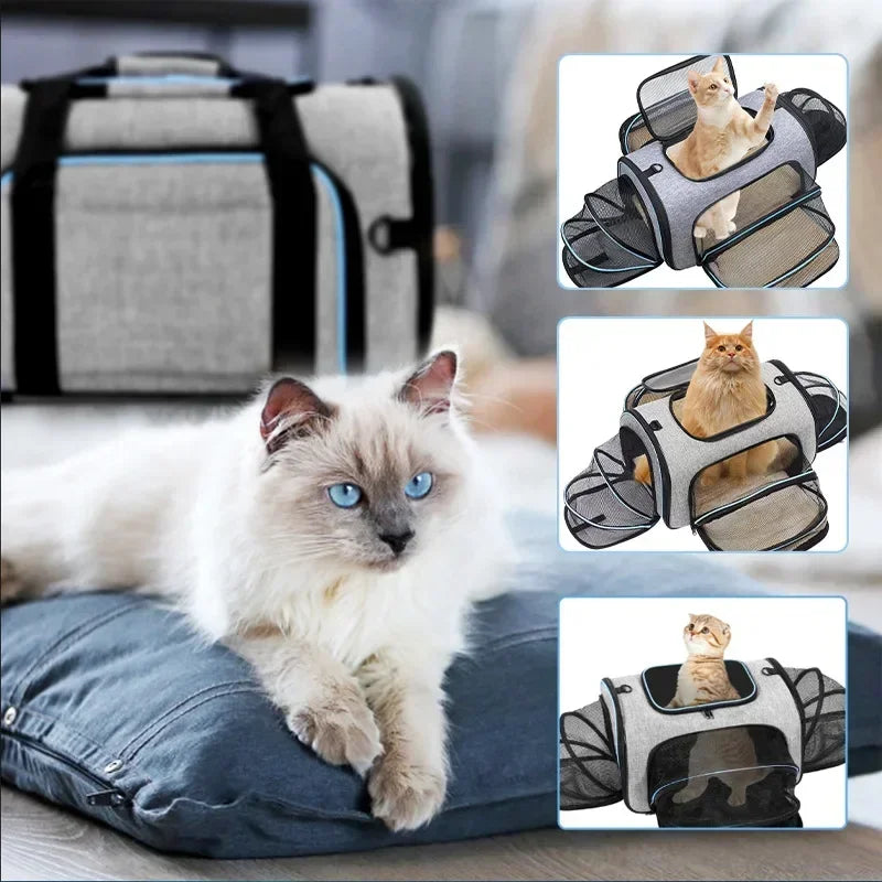 Expandable Cat Backpack