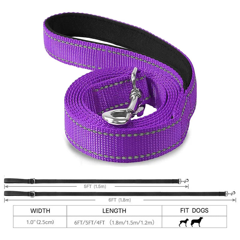 Reflective Dog Walking Leash