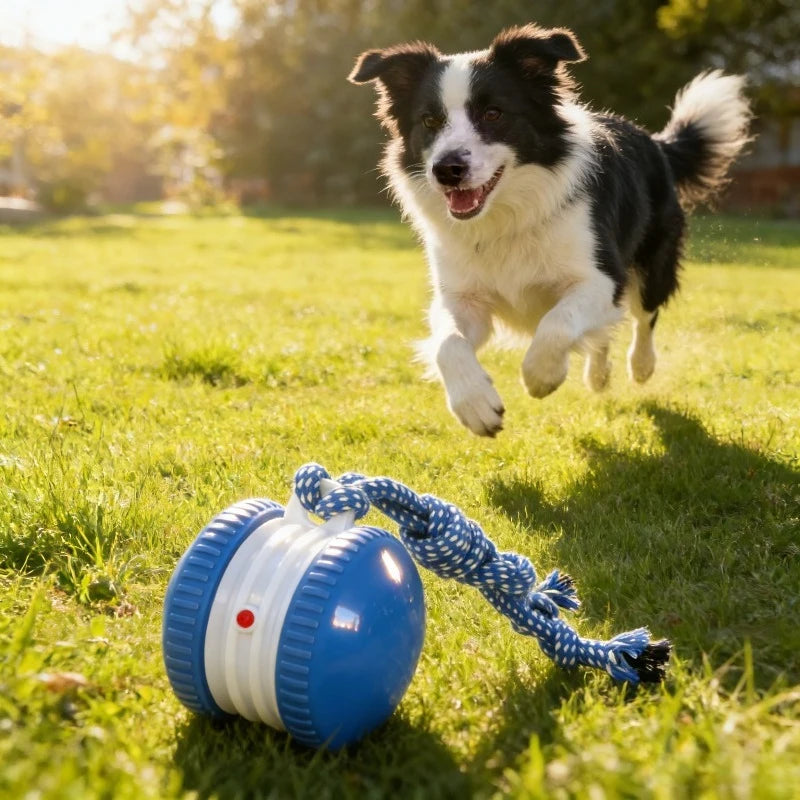 SmartRoll Auto Dog Ball