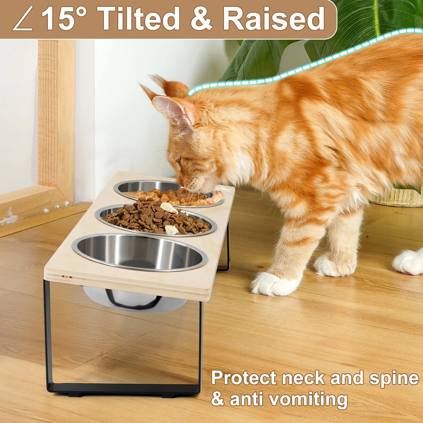 Elevated Tilted Cat Bowls