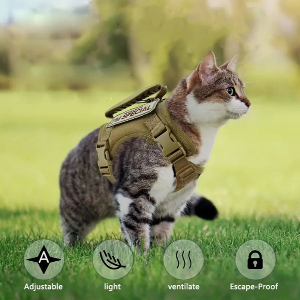 Tactical Cat Harness &amp; Leash