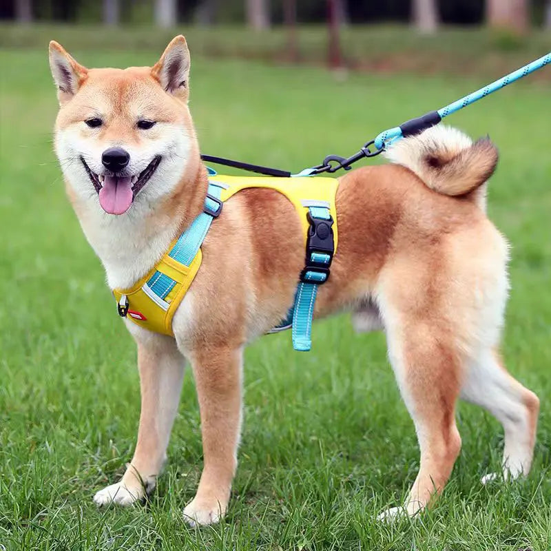 Reflective Adjustable Dog Harness