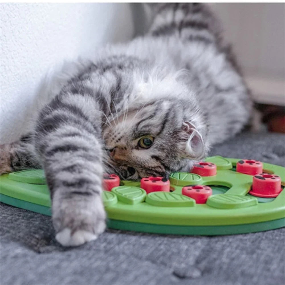 Interactive Cat Treat Puzzle Toy
