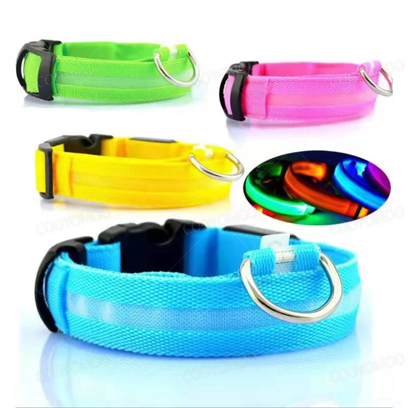 PetSafe Glow LED Dog Collar