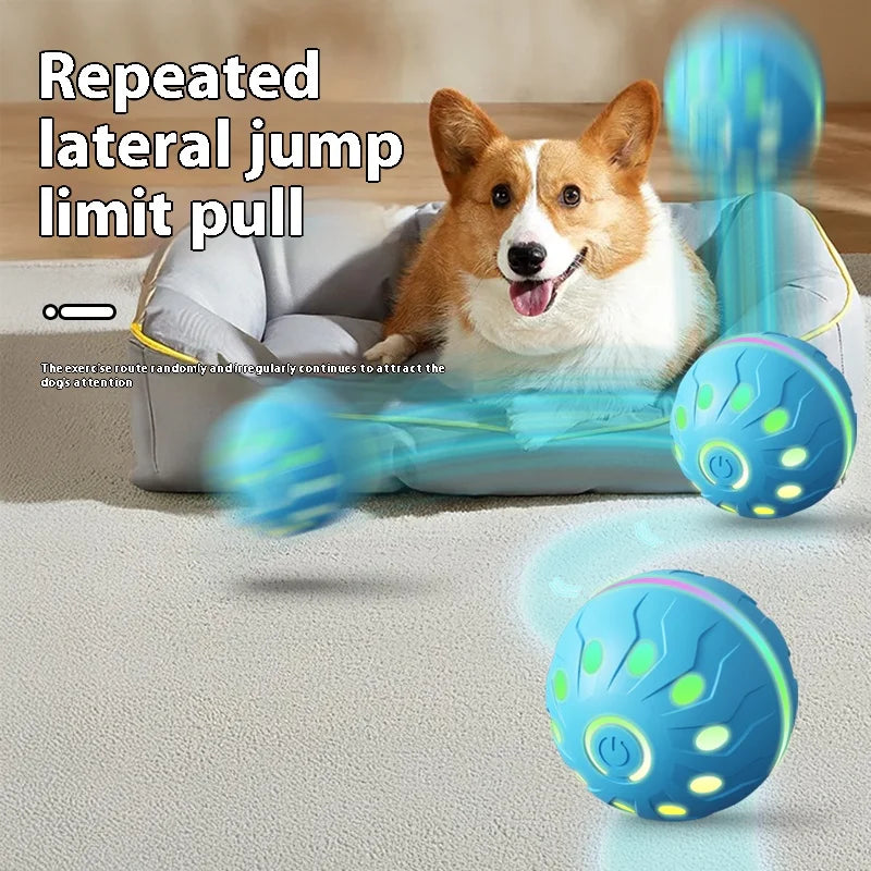 Electric Dog Ball