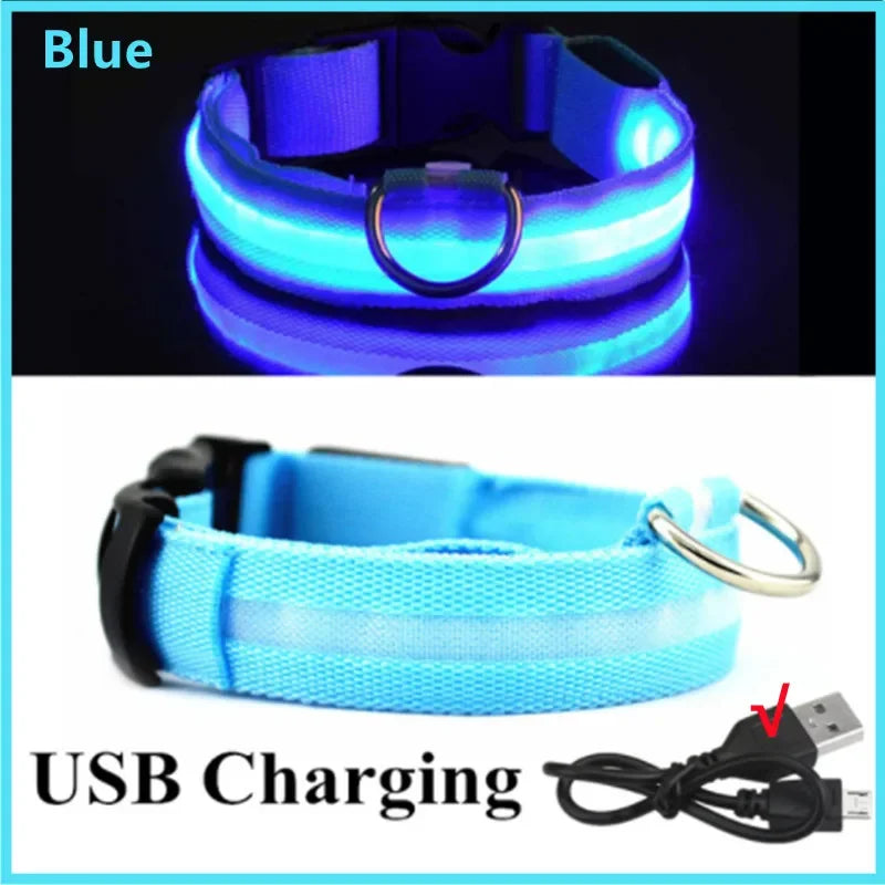 PetSafe Glow LED Dog Collar