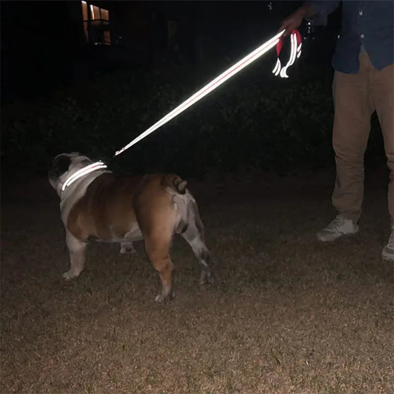 Reflective Dog Walking Leash