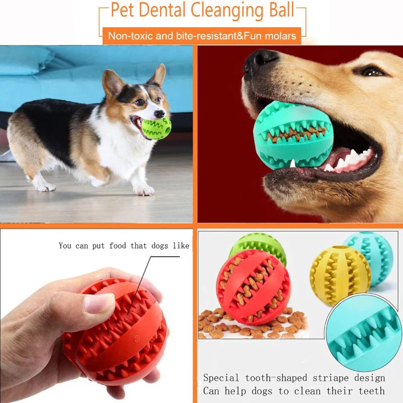 Interactive Treat Ball