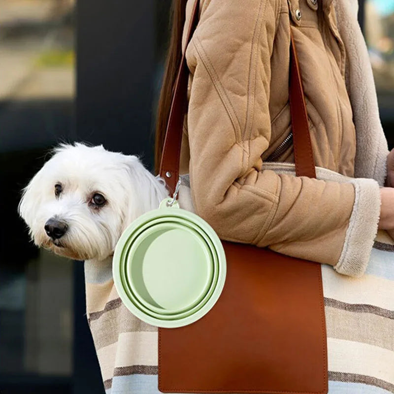 Collapsible Dog Bowl 350ML