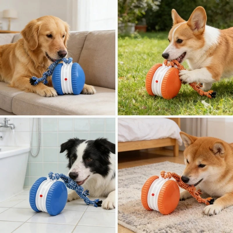 SmartRoll Auto Dog Ball