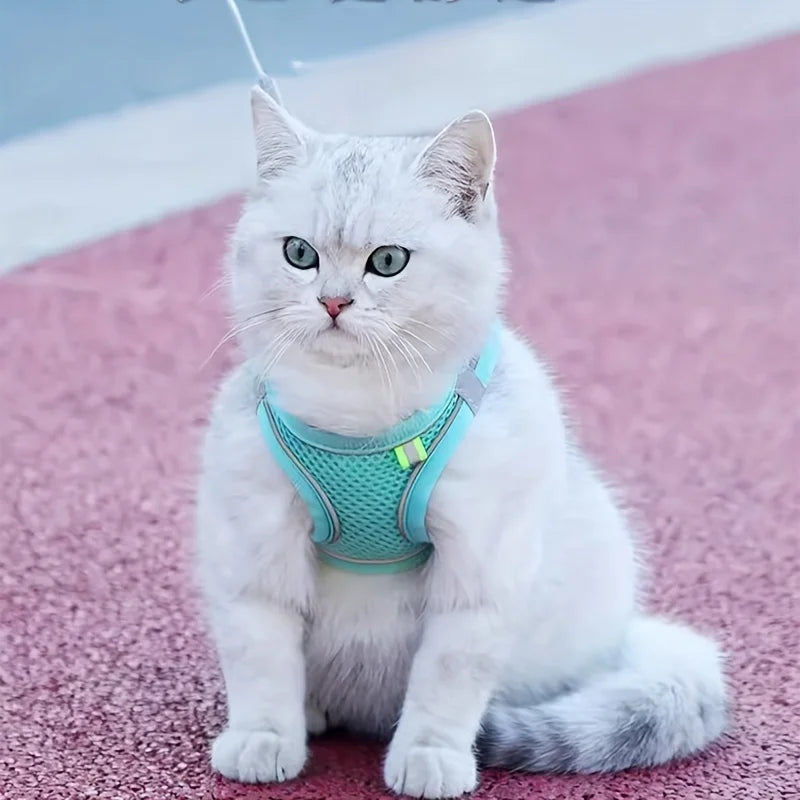Adjustable Cat Harness