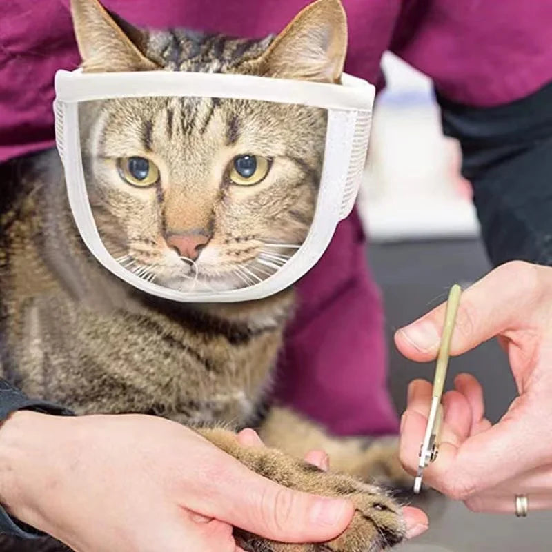 Clear Cat Muzzle