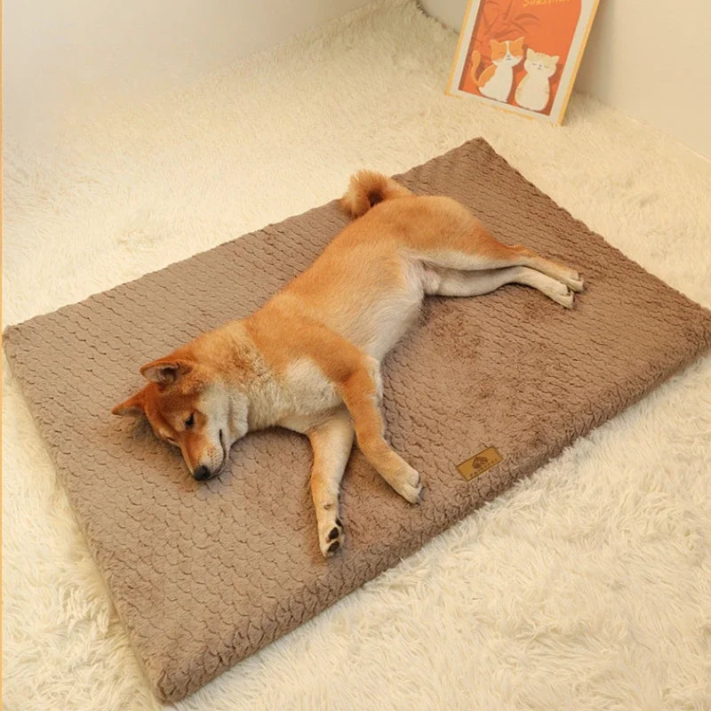 Orthopedic Memory Foam Dog Bed