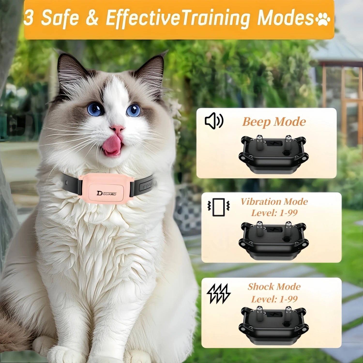 Cat Training Collar