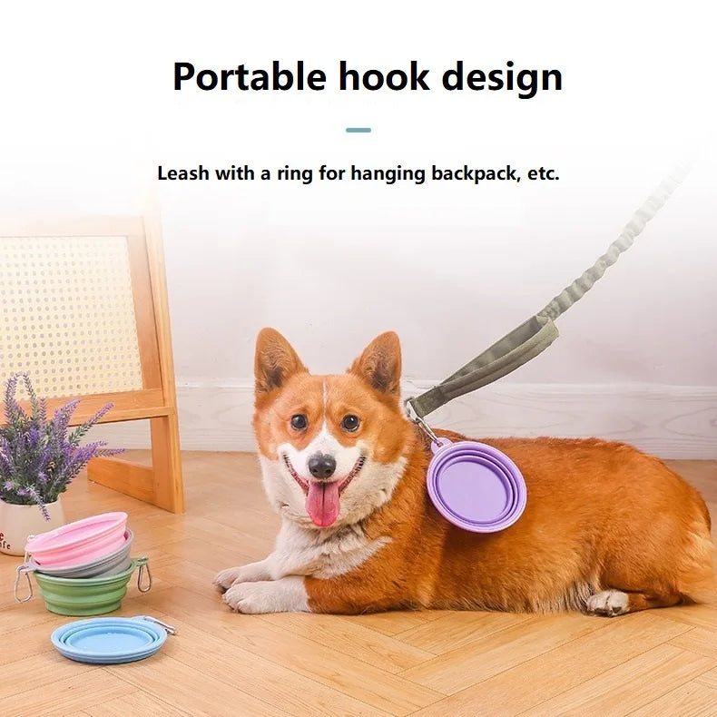 Collapsible Dog Bowl 350ML