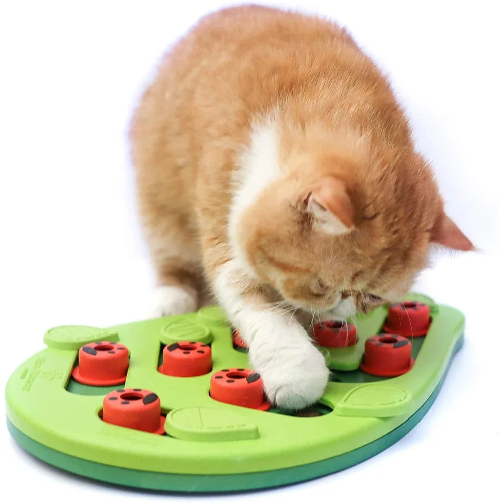 Interactive Cat Treat Puzzle Toy